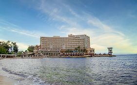 Palestine Montaza Alexandria